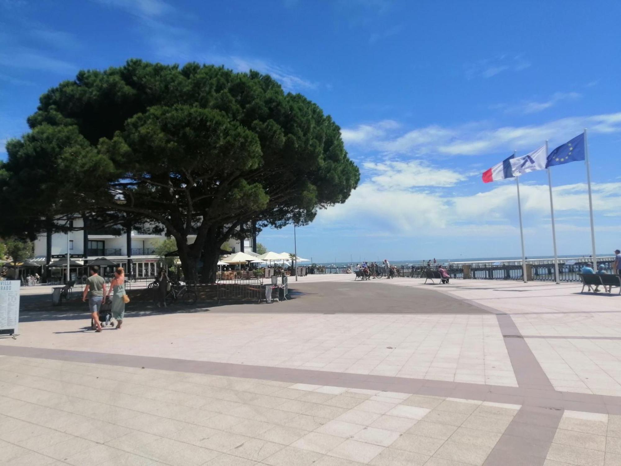 Le Magellan Appartement Terrasse 4 Personnes Plage Et Centre Ville Andernos-les-Bains Esterno foto